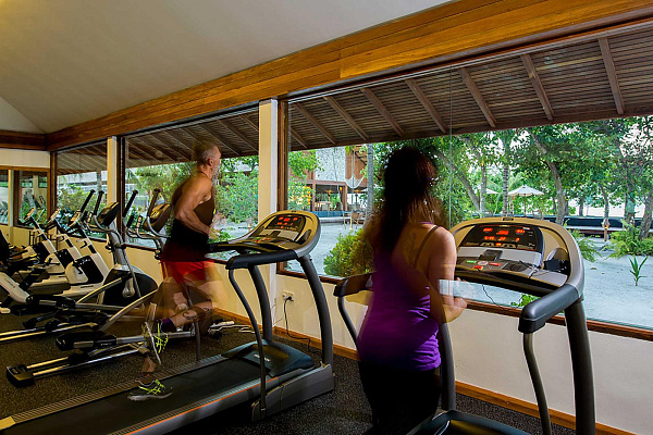 The Barefoot Eco Hotel The Barefoot Eco Hotel