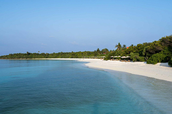 The Barefoot Eco Hotel The Barefoot Eco Hotel