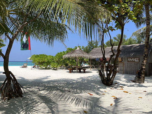 The Barefoot Eco Hotel The Barefoot Eco Hotel