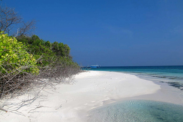 The Barefoot Eco Hotel The Barefoot Eco Hotel