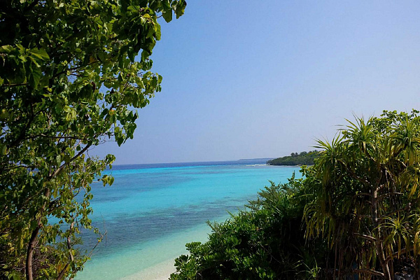 The Barefoot Eco Hotel The Barefoot Eco Hotel