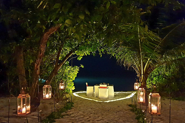 The Barefoot Eco Hotel The Barefoot Eco Hotel