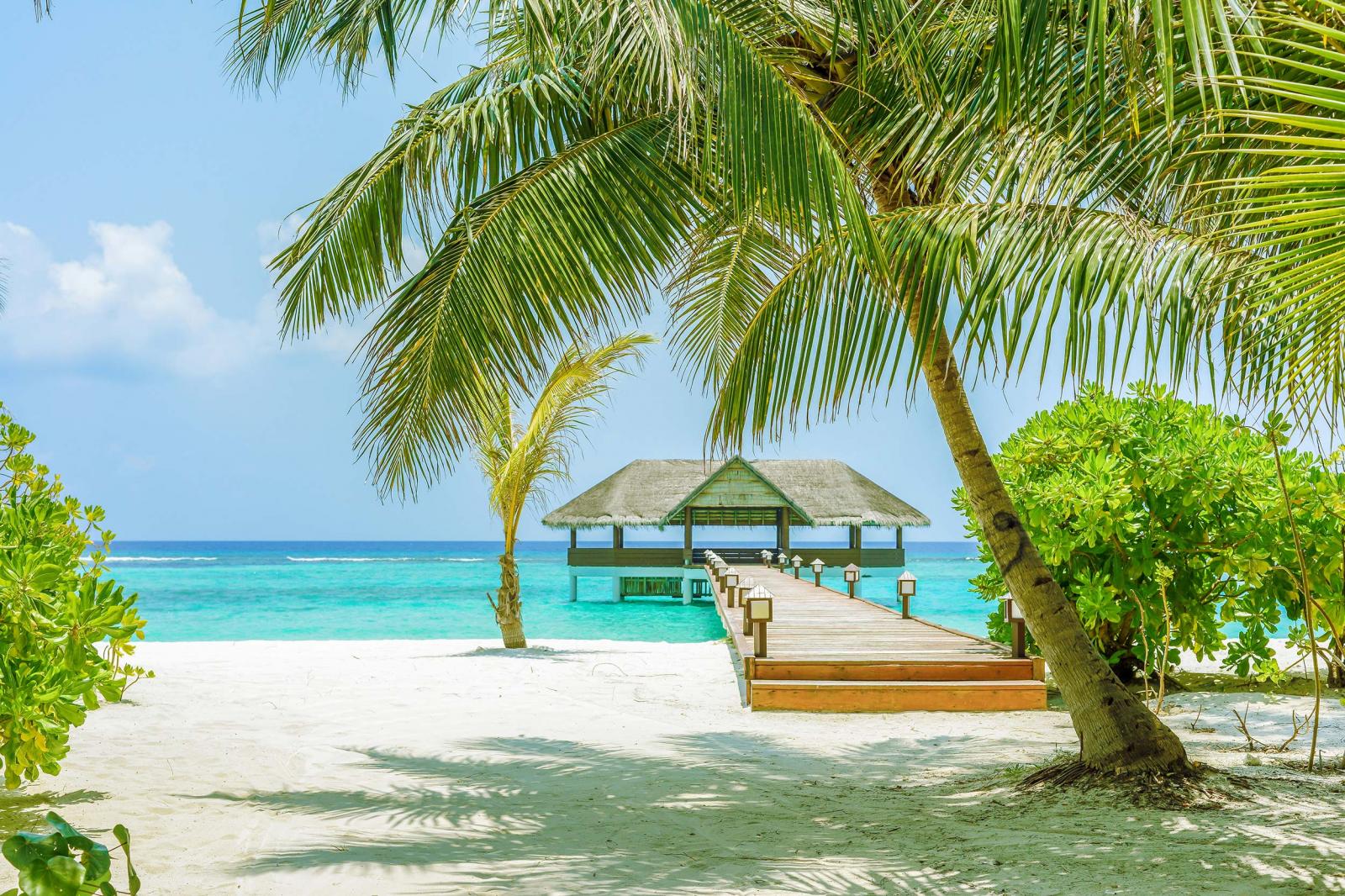Palm Beach Resort & Spa Maldives. 