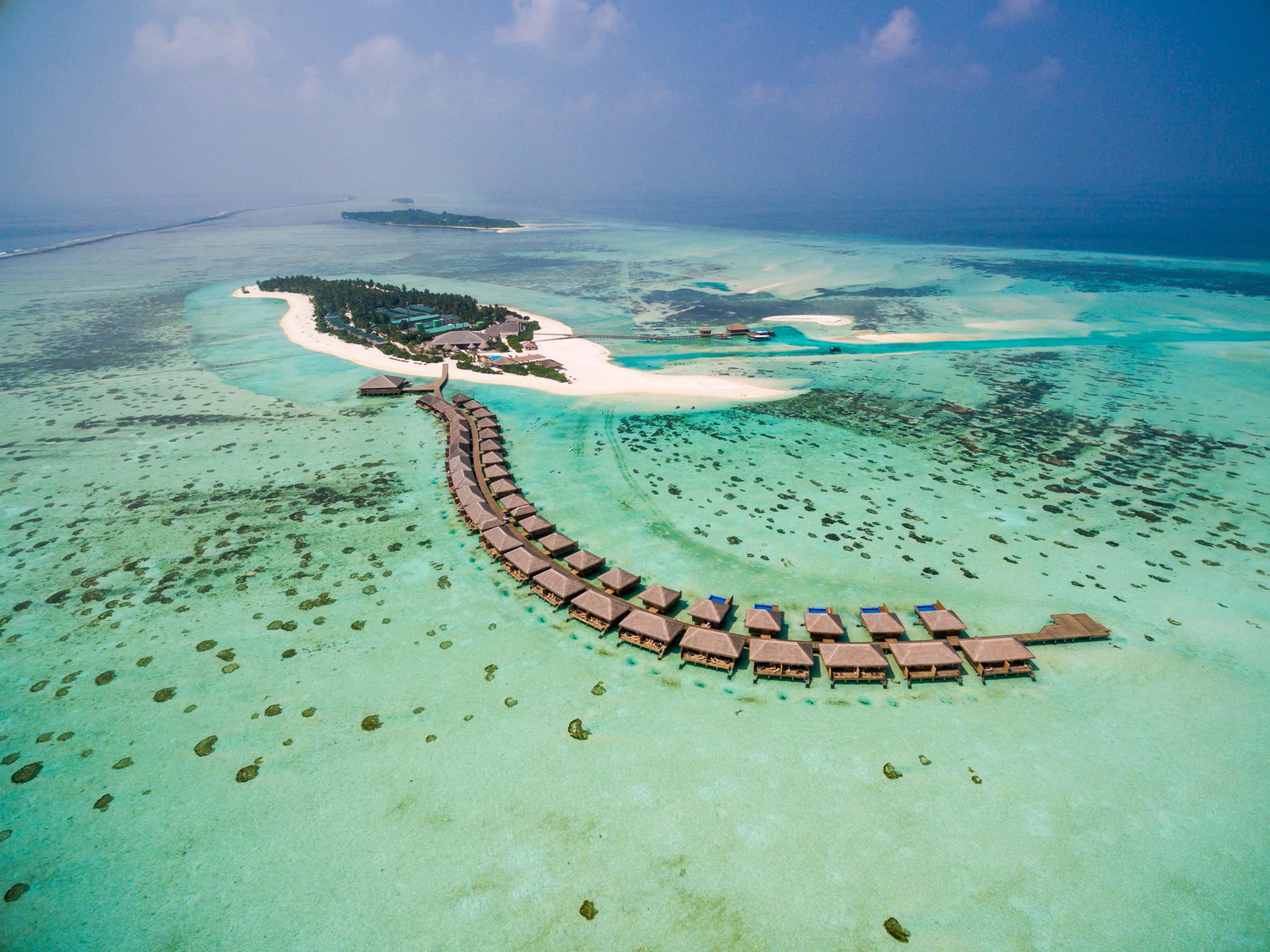 Cocoon maldives карта отеля