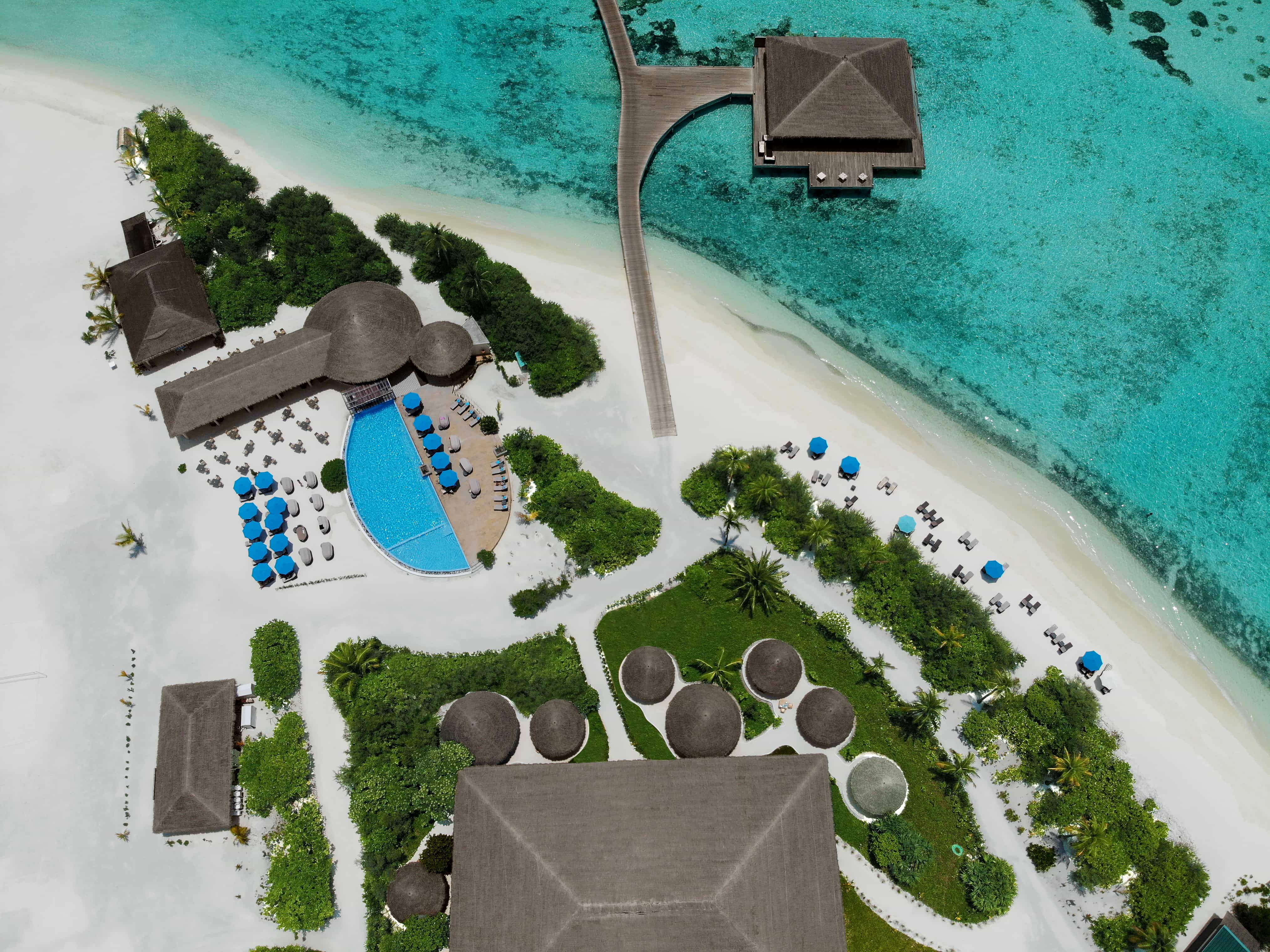 Cocoon maldives карта отеля