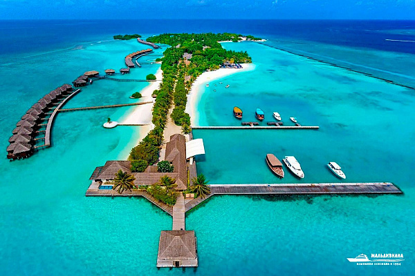 Sheraton Maldives Full Moon Resort and Spa Sheraton Maldives Full Moon Resort and Spa