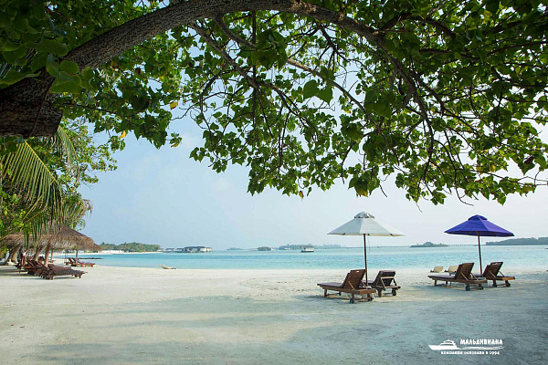 Cinnamon Dhonveli Maldives Cinnamon Dhonveli Maldives