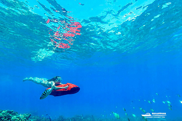 Sheraton Maldives Full Moon Resort and Spa Sheraton Maldives Full Moon Resort and Spa