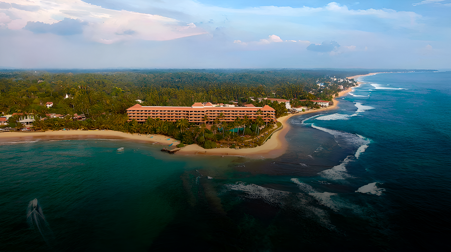 Hikka Tranz by Cinnamon Hikka Tranz by Cinnamon