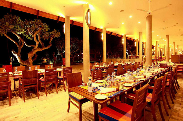 Hikka Tranz by Cinnamon Hikka Tranz by Cinnamon