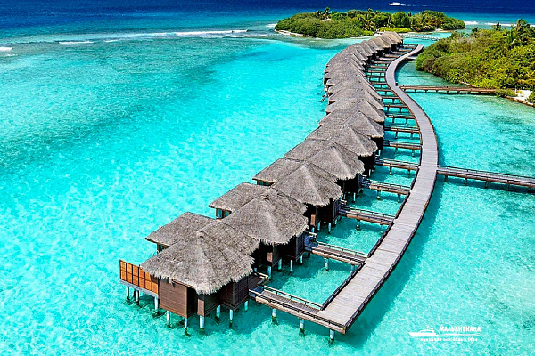 Sheraton Maldives Full Moon Resort and Spa Sheraton Maldives Full Moon Resort and Spa