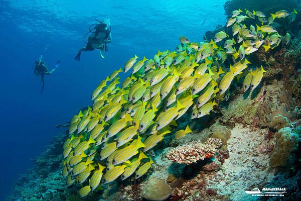 Six Senses Laamu Six Senses Laamu