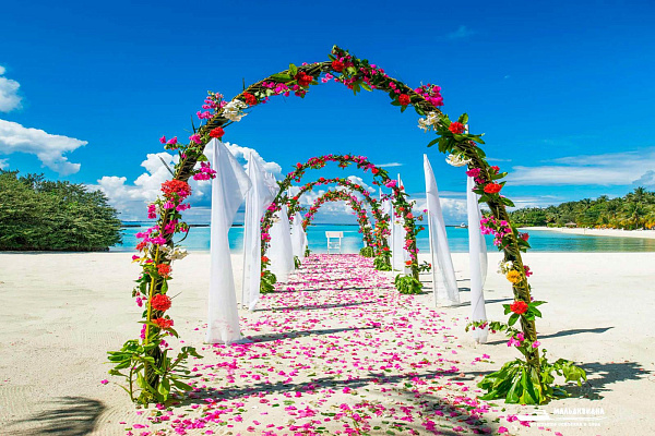 Sheraton Maldives Full Moon Resort and Spa Sheraton Maldives Full Moon Resort and Spa