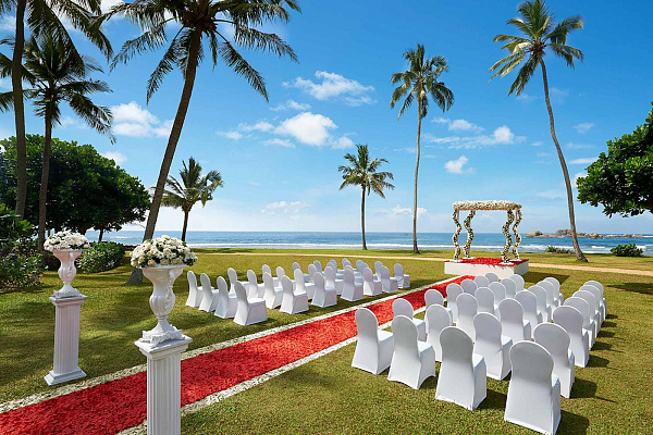 Hikka Tranz by Cinnamon Hikka Tranz by Cinnamon