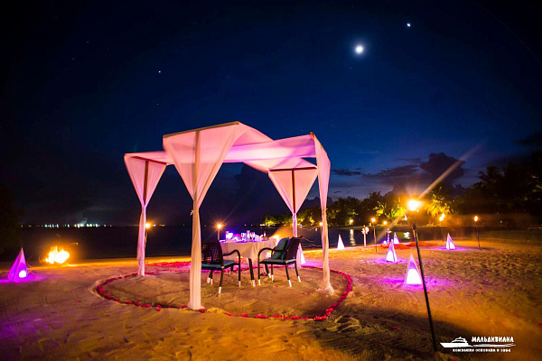 Sheraton Maldives Full Moon Resort and Spa Sheraton Maldives Full Moon Resort and Spa