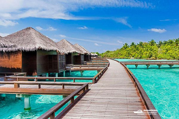 Sheraton Maldives Full Moon Resort and Spa Sheraton Maldives Full Moon Resort and Spa