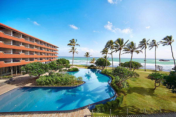 Hikka Tranz by Cinnamon Hikka Tranz by Cinnamon