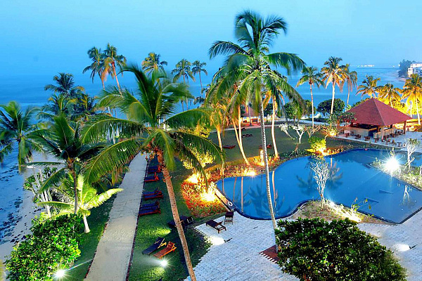 Hikka Tranz by Cinnamon Hikka Tranz by Cinnamon