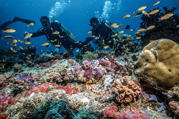 Robinson Club Maldives Robinson Club Maldives